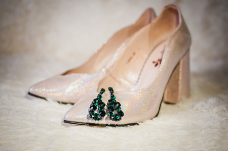 Bridal shoes, earrings, wedding accessoriesの写真素材