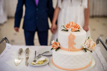 Newlyweds cut the wedding cake. The bride and groom at the wedding cut a wedding cake