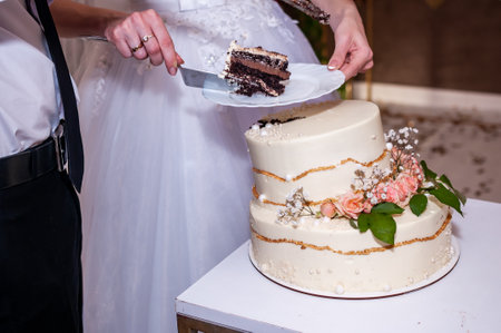 Newlyweds cut the wedding cake. The bride and groom at the wedding cut a wedding cake