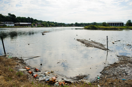 Dirty lake and shore on a background of green fieldsの写真素材