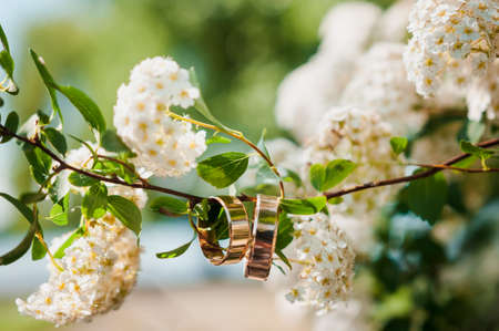 A pair of golden wedding rings on a background of white flowersの写真素材
