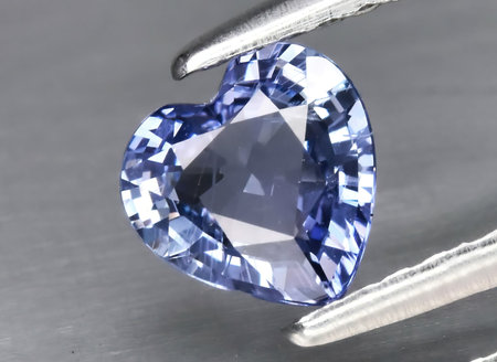 Natural gemstone blue sapphire in tongs on a backgroundの写真素材