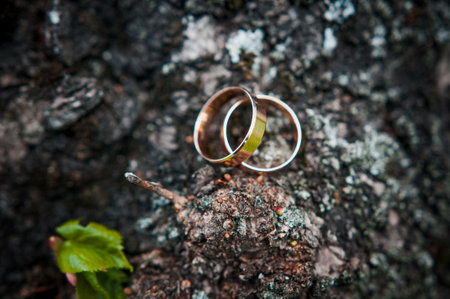 Two gold wedding rings on a brown wooden background.の写真素材