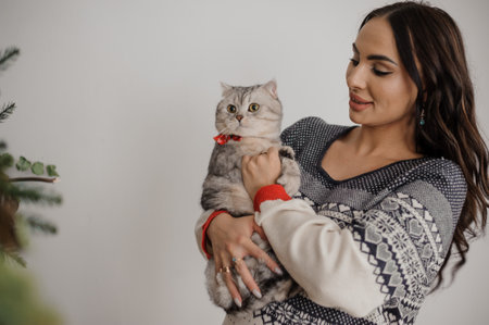 Beautiful gray cat in the arms of a pregnant womanの写真素材