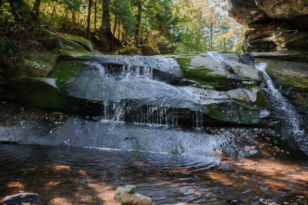 Rocky mountain river among the forest. Beautiful river with a waterfall in a coniferous forestの写真素材