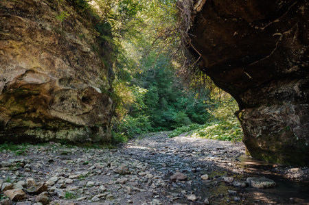 Rocky mountain river among the forest. Beautiful river with a waterfall in a coniferous forest