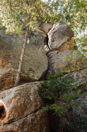 Rocks in the forest, a place of power and sacrifice. Ternoshorskaya Lada, Ukraine.