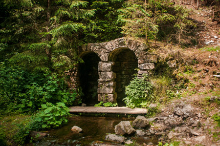 Stone bridge by the river, firs by the bridgeの写真素材