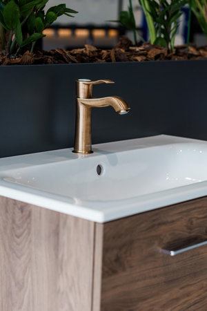 Elegantly Designed Bathroom Faucet with Wooden Vanity and Greenery in Modern Interior.