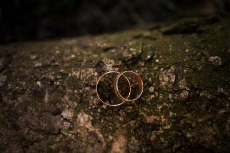 Elegant Gold Wedding Rings Resting on a Rustic Natural Background.