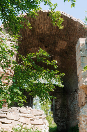 Tranquil Ruins Embraced by Nature's Tender Touch.の写真素材