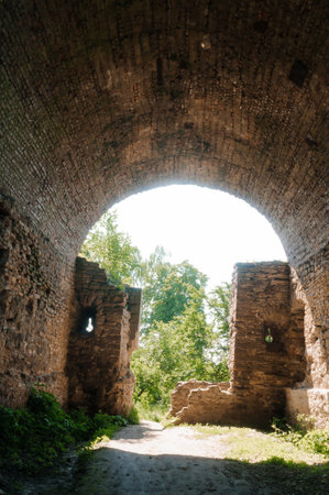 Enchanted Ruins: A Glimpse into Nature's Embrace Beneath an Archway.の写真素材