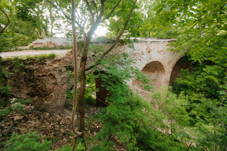 Enchanted Ruins of a Forgotten Stone Bridge Surrounded by Lush Greenery.の写真素材