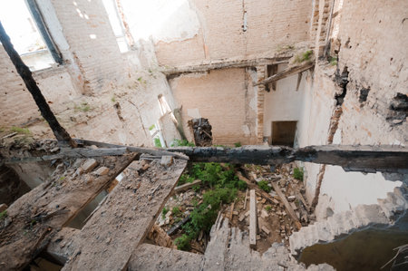 Abandoned Urban Elegance: A Poignant View of Nature Reclaiming a Dilapidated Interior.の写真素材
