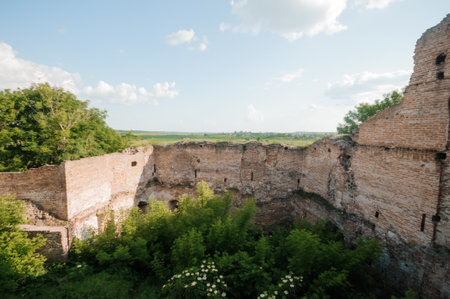 Enchanting Overgrown Ruins Surrounded by Verdant Nature Beneath a Clear Blue Sky.の写真素材