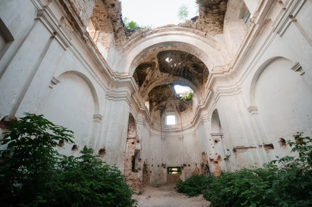 Abandoned Sanctuary of Solitude Encased in Nature's Embrace.の写真素材
