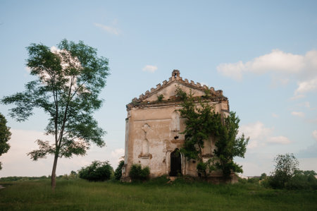 Abandoned Heritage: The Majestic Ruins of a Forgotten Structure Surrounded by Lush Greenery.