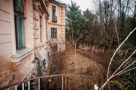 An Eerie Encounter with Nature at a Forgotten Abandoned House.の写真素材