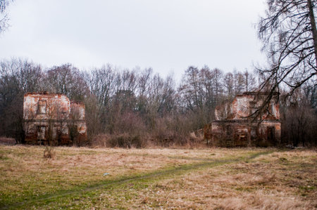 Abandoned Remnants of a Forgotten Past Amidst Overgrown Landscape.の写真素材