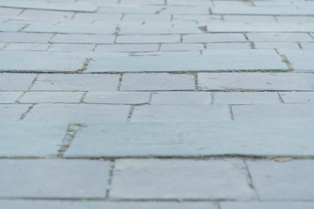 Tranquil Cobblestone Pathway Embraced by Nature's Touch.