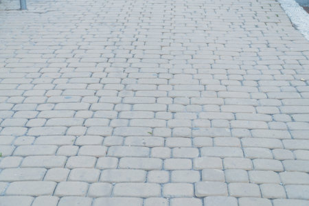 Cobblestone Pathway in Soft Natural Light.