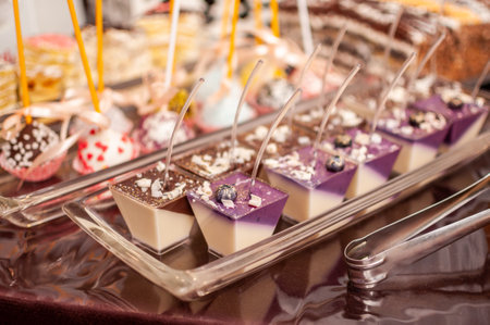 Delightful Assortment of Colorful Dessert Jellies Elegantly Presented on a Buffet Table.
