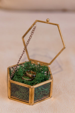 Elegant Gold Wedding Rings in Glass Hexagonal Box Decorated with Green Moss.