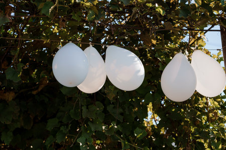 Whimsical White Balloons Hanging Against a Lush Green Backdrop.