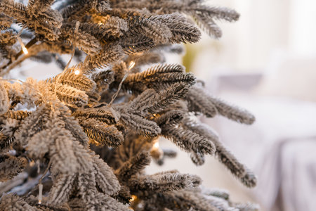 A Close-Up View of a Frosted Christmas Tree with Twinkling Lights.の写真素材