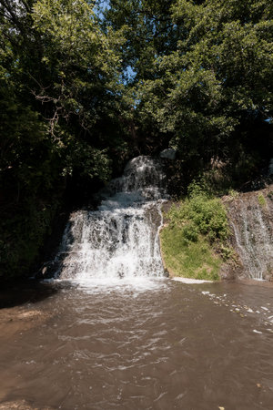 Serene Waterfall Surrounded by Lush Greenery.