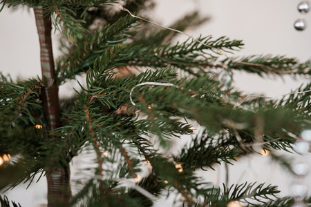 Close-Up of Christmas Tree Branches with Holiday Decorations.