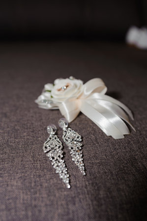 Elegant Bridal Accessories Featuring Floral Brooch and Sparkling Earrings.