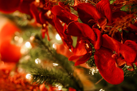 Close-Up of Vibrant Red Orchids with Festive Greenery and Soft Bokeh Lights.の写真素材