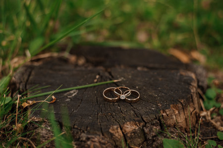 Elegant Wedding Rings on Rustic Wood Stump.の写真素材