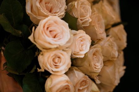 Elegant arrangement of soft pink roses in a bouquet with lush green leaves.の写真素材