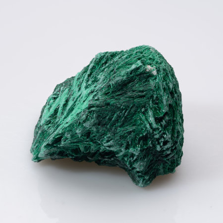 A striking, unpolished specimen of vibrant green malachite showing its characteristic banded layers and fibrous texture, resting against a clean white backdrop.の写真素材