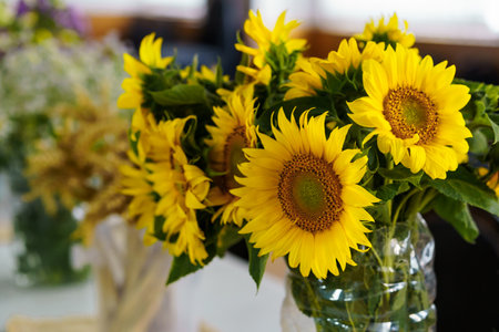 A beautiful still life image showcasing a collection of freshly cut yellow sunflowers arranged in clear glass vases, illuminated by natural light, perfect for seasonal decorの写真素材