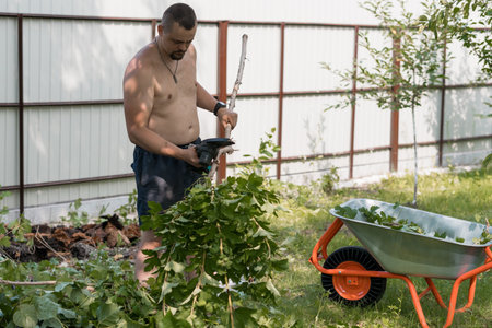 A shirtless man works in his garden trimming overgrown bushes with electric hedge trimmers, a green wheelbarrow nearby suggests yard cleanup, summer atmosphereの写真素材