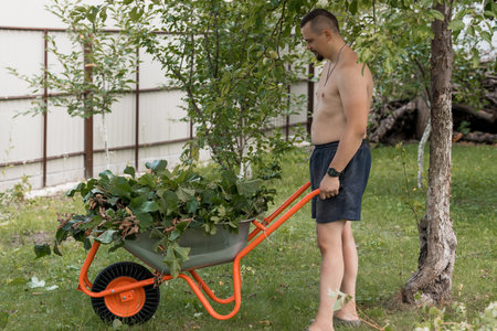 A shirtless man pushes a loaded orange wheelbarrow through a grassy yard with a tree bearing apples,...