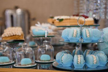 A beautifully arranged dessert table features light blue macarons, miniature cakes and other pastries on elegant glass stands. the luxurious display suggests a wedding or upscale eventの写真素材