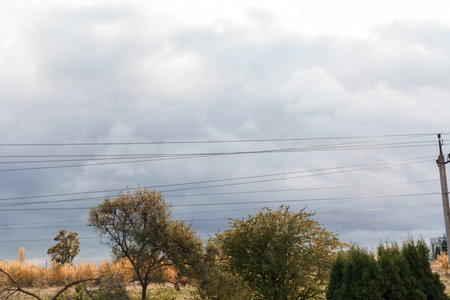 A moody rural scene depicts trees with autumn leaves under a heavy overcast gray sky, bisected by...