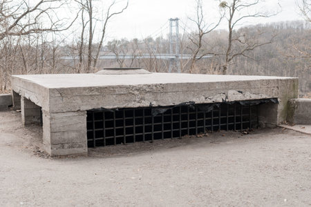 Dilapidated concrete bunker-like structure featuring cracked surfaces and dark grid vents set in desolate outdoor scene with leafless forest and bridge, backdrop under overcast sky