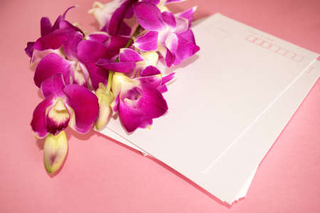 Beautiful purple Orchid Dendrobium with postcard on pink blackgrowndの写真素材