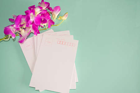 Beautiful purple Orchid Dendrobium with postcard on blue blackgrowndの写真素材