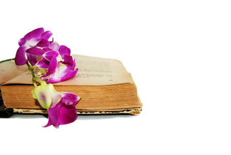 Old book and Orchid on white background isolate