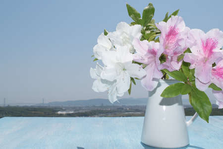 Hibiscus bouquet on wooden table background of blue sky  Rose Mallow, Shoe Flower, Roselle, China Roseの写真素材
