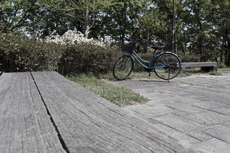 Blue bicycle in a park on a background of plantsの写真素材