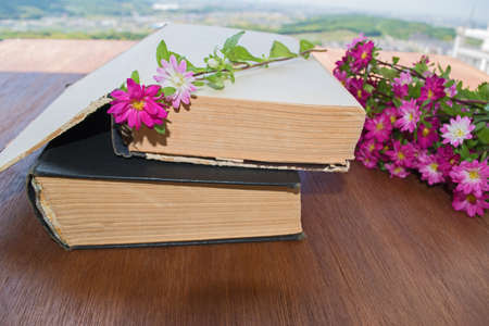 Old books and flowers aster on wooden blue table background of the beautiful sky