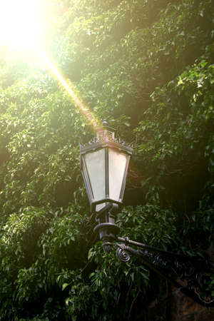 Infiltrate in the amber sunlight of the street lamp next to a wall.