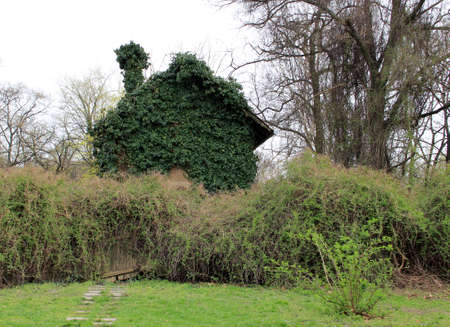 Amber spread rundown of lonely deserted house のeditorial素材